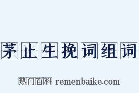 茅止生挽词组词是什么意思的图片